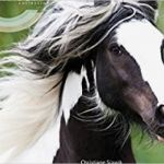 Gutschein Reiten Vorlage Hübsch Gutschein Reiten Vorlage Kostenlos Passat Preise