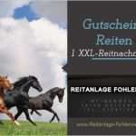 Gutschein Reiten Vorlage Neu Reitanlage Fohlenweide Bei Karlsruhe Gutscheine Fürs Reiten