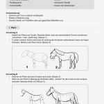 Gutschein Reiten Vorlage Schön Erfreut Pferd Powerpoint Vorlagen Fotos Entry Level