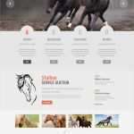 Gutschein Reiten Vorlage Schön Erfreut Pferd Powerpoint Vorlagen Fotos Entry Level