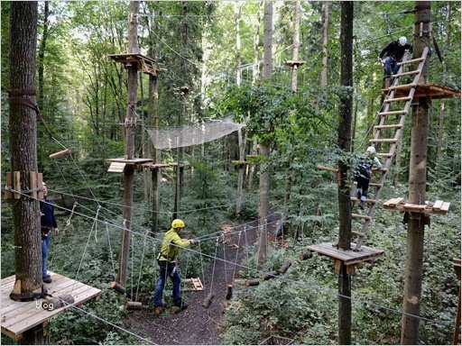 Gutschein Schifffahrt Vorlage Hübsch Erlebniswald Mainau Konstanz Thurgau tourismus