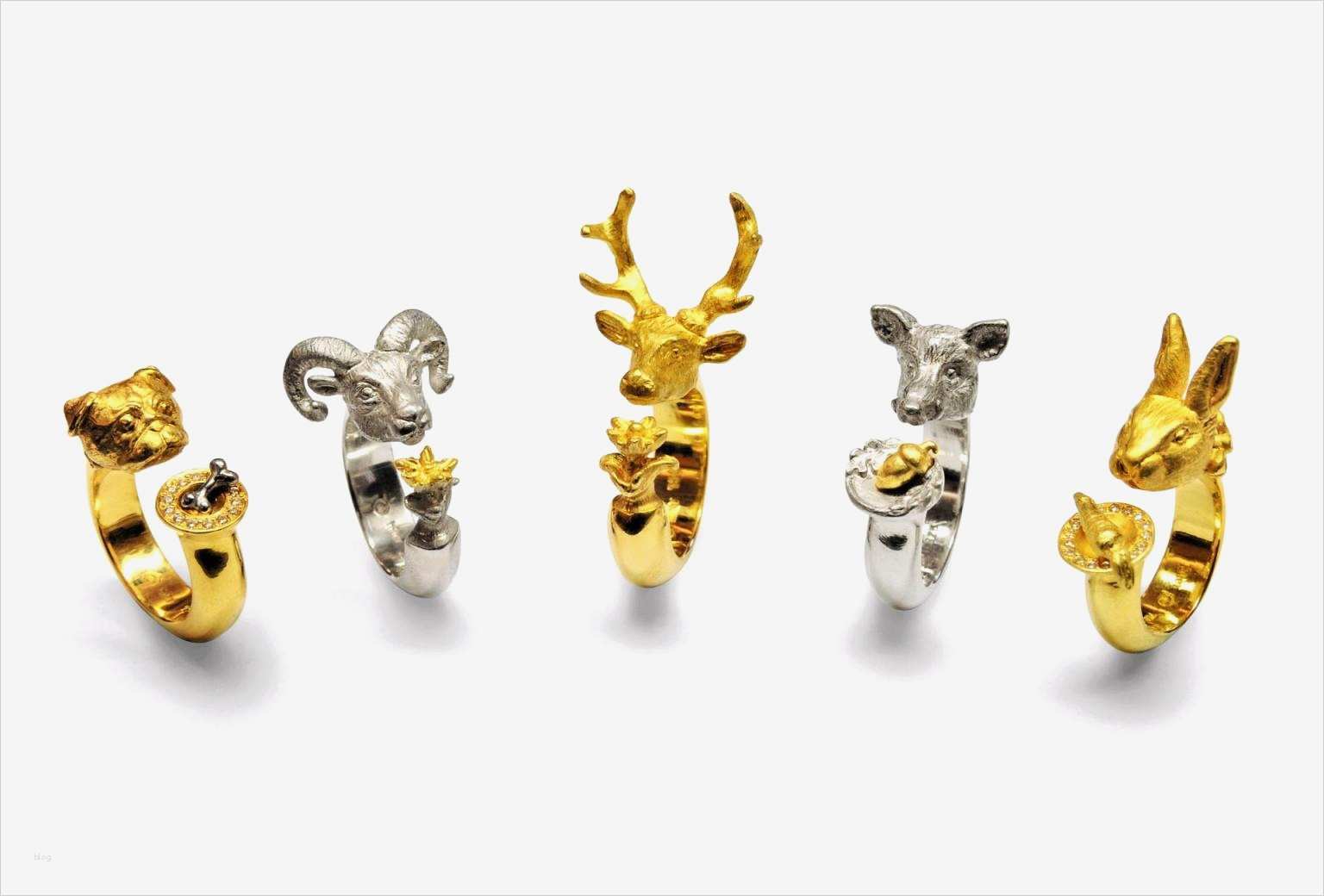 Gutschein Vorlage Fotoshooting Cool Gutschein Fotoshooting Vorlage Besten Der ordnerrücken