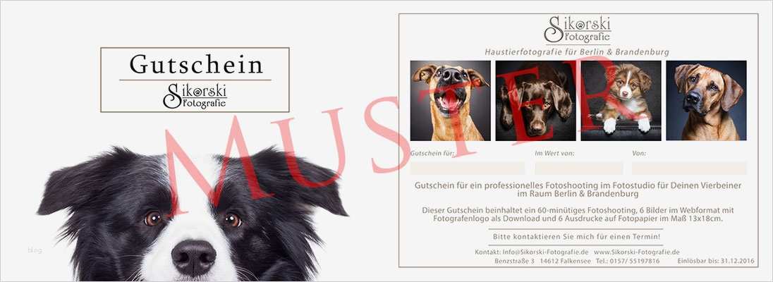 Gutschein Vorlage Fotoshooting Wunderbar Preise Sikorski Fotografie