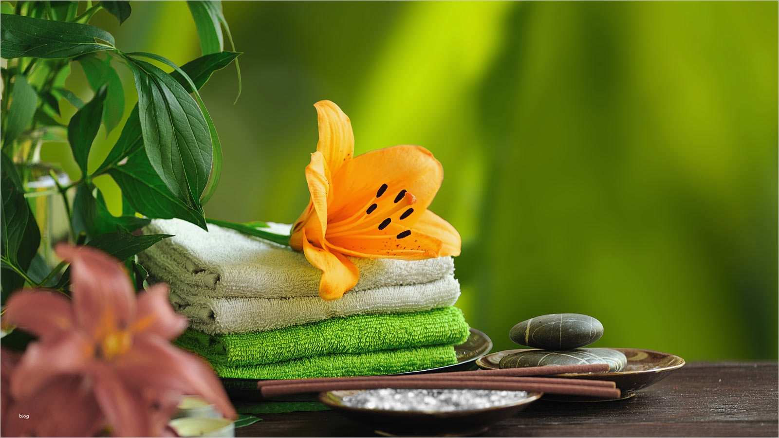 Gutschein Vorlage Wellness Genial Gutscheine Wellness Und Romantik Hotel & Spa sommerfeld