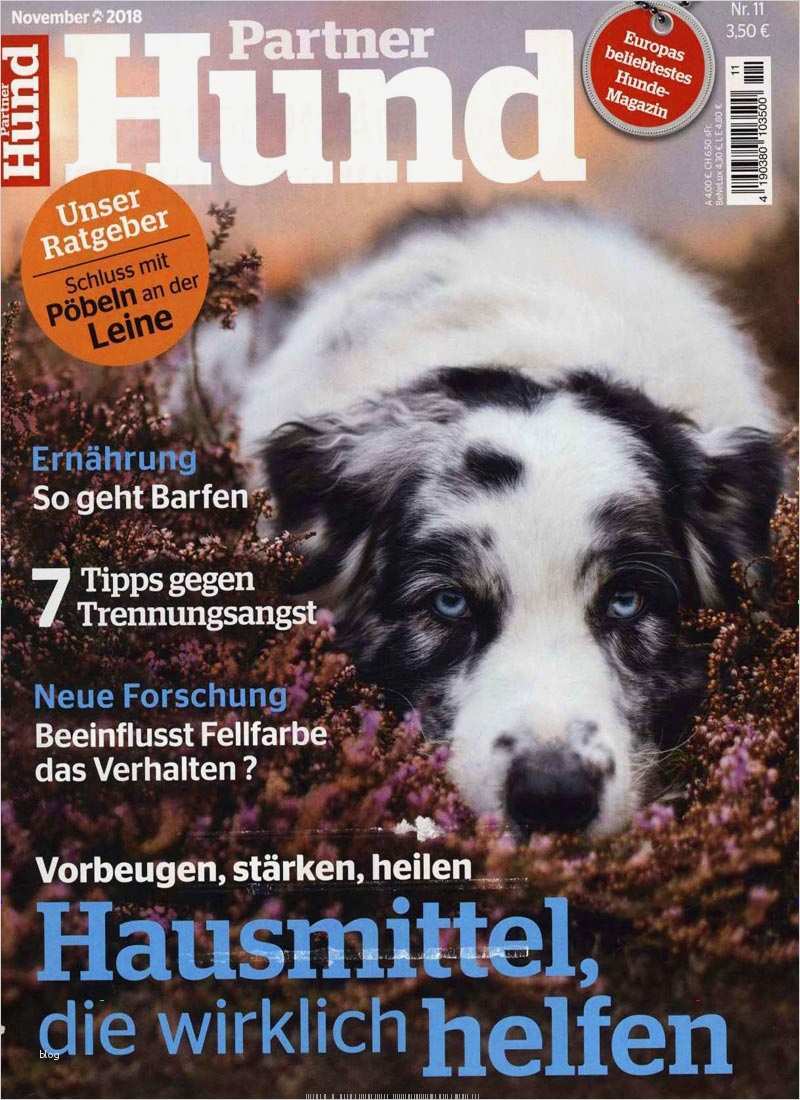 Gutschein Zeitungsabo Vorlage Schönste Partner Hund Abo Zeitschriften Abo • Zeitschriften Abo
