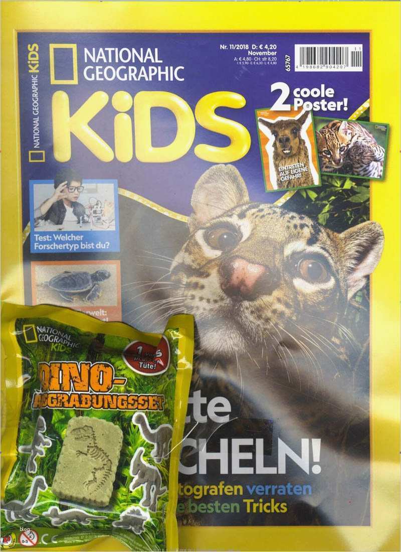 Gutschein Zeitungsabo Vorlage Süß National Geographic Kids Abo Zeitschriften Abo