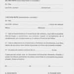 Haftungsausschluss Vorlage Kostenlos Angenehm Ungewöhnlich Haftungsausschluss Vorlage Brief Bilder