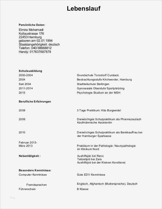 Handgeschriebener Lebenslauf Vorlage Cool Lebenslauf