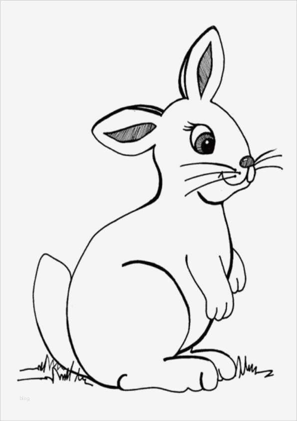 Hase Vorlage Zum Ausdrucken Erstaunlich Ausmalbilder Hase 24