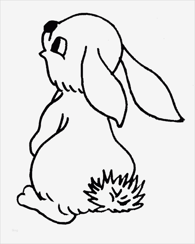 Hase Vorlage Zum Ausdrucken Inspiration Malvorlagen Gratis Malvorlagen Hase