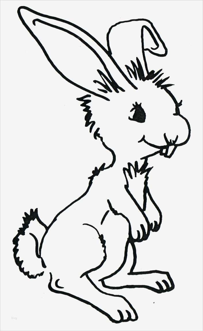 Hase Vorlage Zum Ausdrucken Luxus Ausmalbilder Hase Kostenlos Malvorlagen Zum Ausdrucken