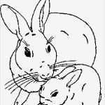Hase Vorlage Zum Ausdrucken Neu 42 Frisch Galerie Hase Zum Ausmalen