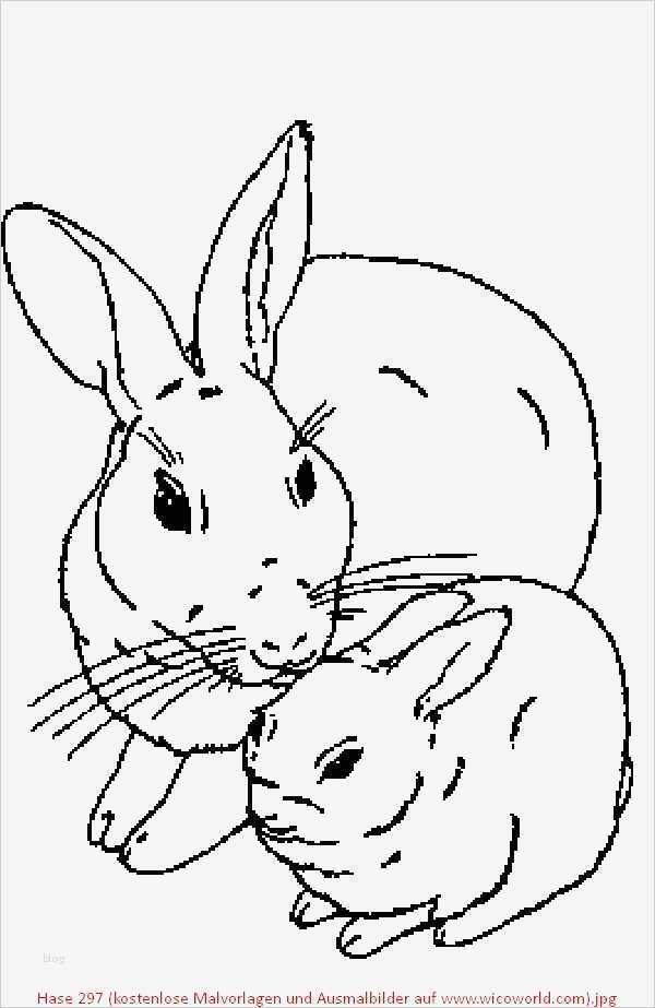 Hase Vorlage Zum Ausdrucken Neu 42 Frisch Galerie Hase Zum Ausmalen