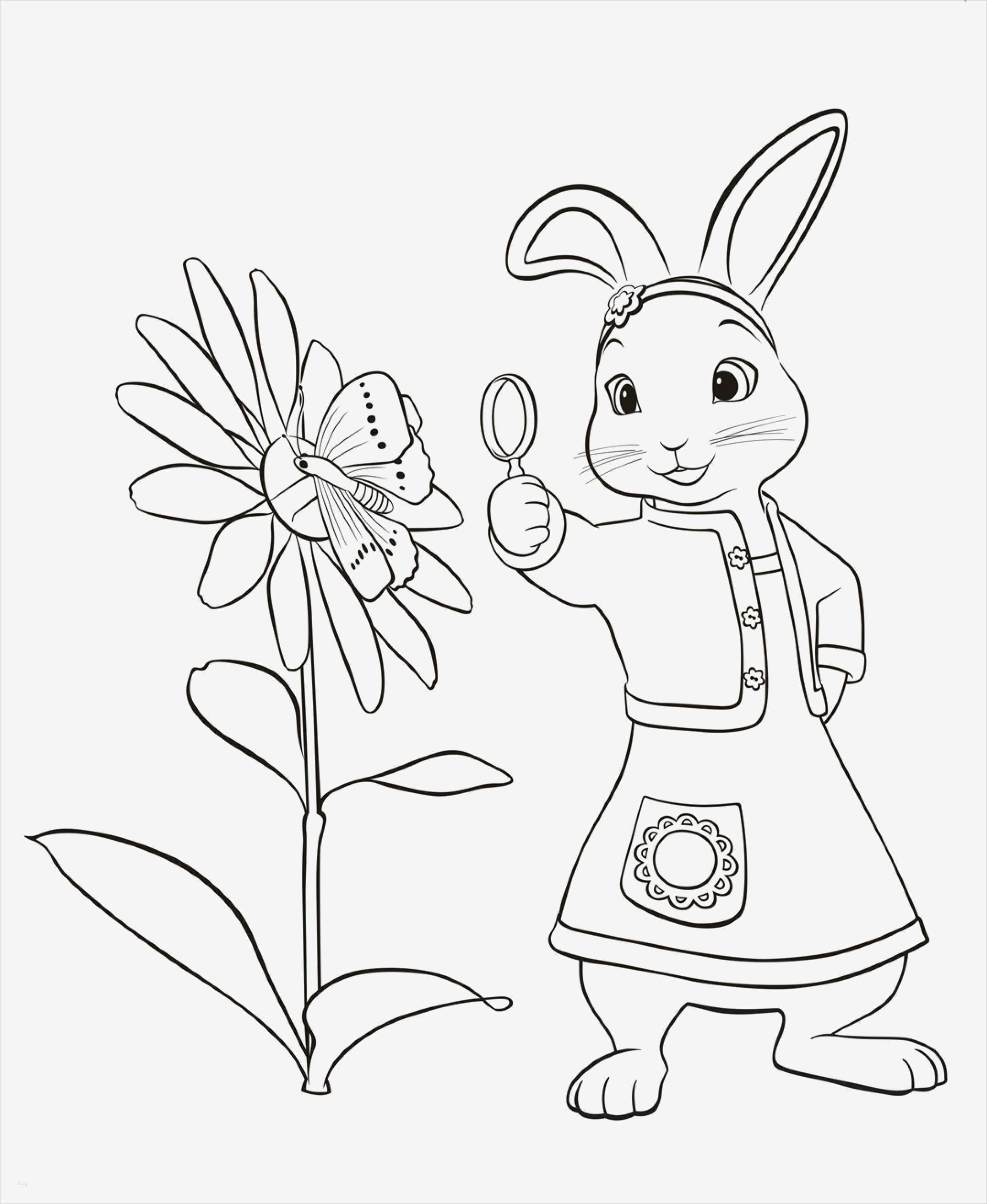 Hase Vorlage Zum Ausdrucken Wunderbar Peter Hase – Spielzeug Vom Kleinen Flinken Hasen