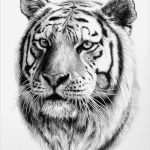 Haudegen Tattoo Vorlage Schön 1001 Ultra Coole Tiger Tattoo Ideen Zur Inspiration