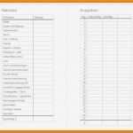 Haushaltsplan Muster Vorlagen Elegant 12 Haushaltsplan Muster