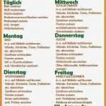 Haushaltsplan Muster Vorlagen Erstaunlich Niedlich Kinderbetreuung Bud Vorlage Fotos Entry