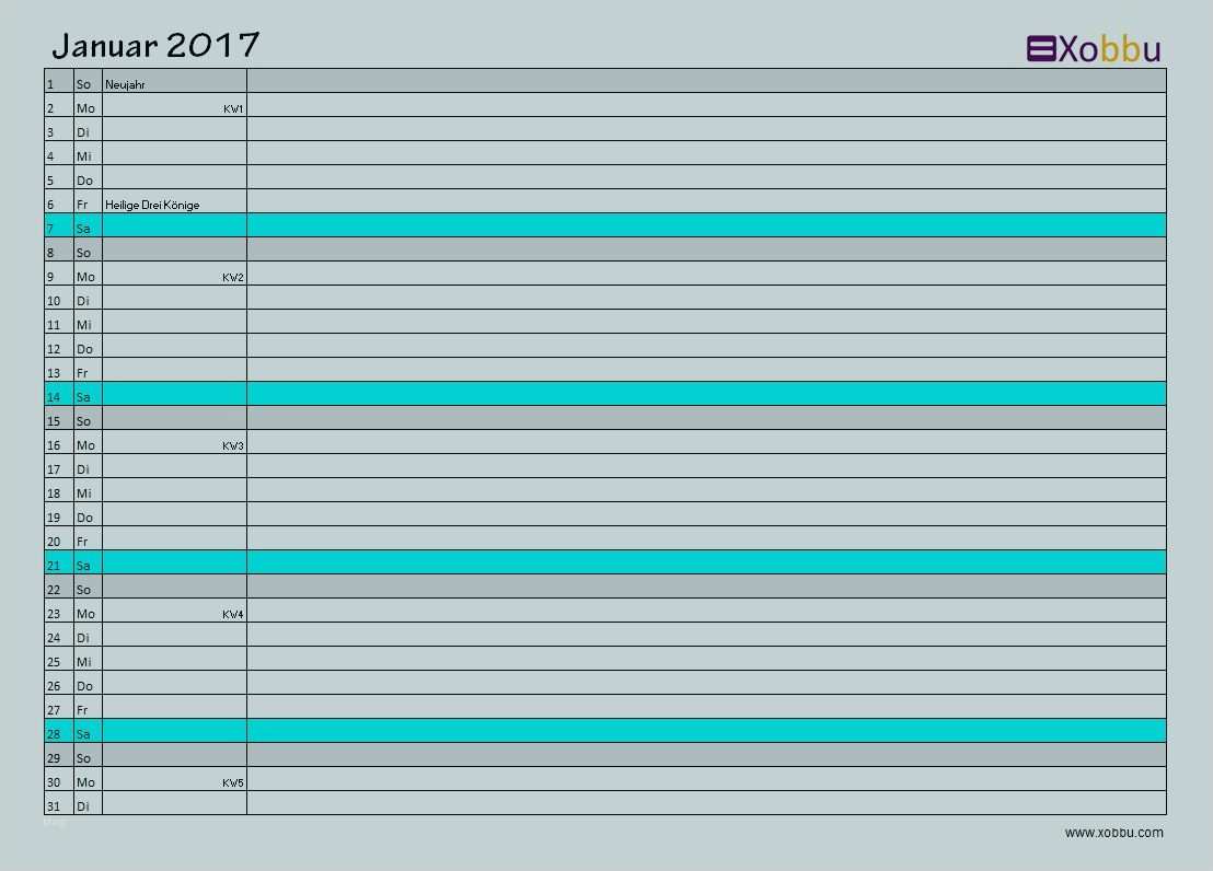 Hautschutzplan Vorlage Word Best Of Großzügig Reinigungsplan Vorlage Galerie Bilder Für Das