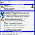 Hautschutzplan Vorlage Word Erstaunlich Wunderbar Betriebsanweisungen Vorlage Zeitgenössisch