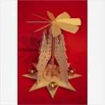 Herrnhuter Stern Vorlage Schön Vorlage Sternpyramide Wald