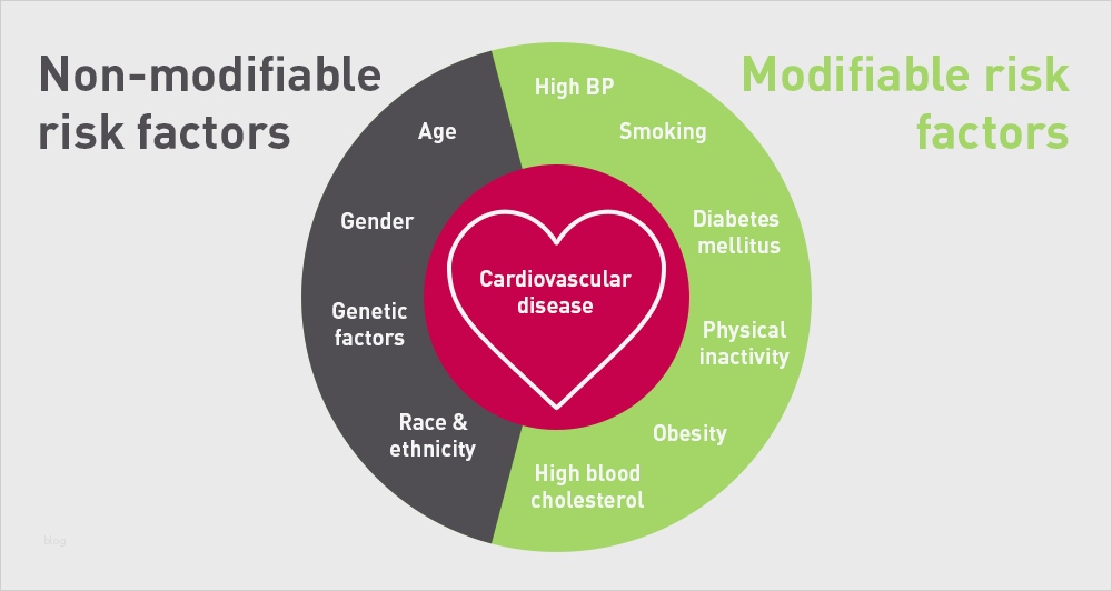 Hnee Powerpoint Vorlage Erstaunlich Diagram Heart Disease Risk Factors Gallery How to Guide