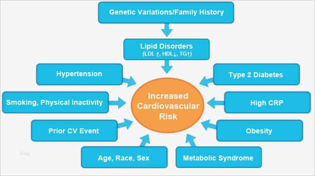 Hnee Powerpoint Vorlage Genial Diagram Heart Disease Risk Factors Gallery How to Guide