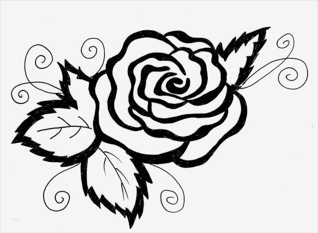 Hochzeit Motive Vorlagen Genial Ausmalen Malvorlagen Gratis Ausdrucken Rose Blumen Motive