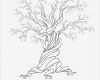 Hochzeitsbaum Vorlage Süß Leinwand Hochzeit Tree Guest Book Hand Gezeichnet