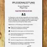 Hochzeitsbuch Gestalten Vorlage Genial Wanddeko Druckvorlage Print Pdf Pflegeanleitung