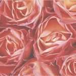 Hochzeitskarten Vorlagen Kostenlos Best Of Kostenlose Briefumschläge "valentinstag" Vorlagen Zum