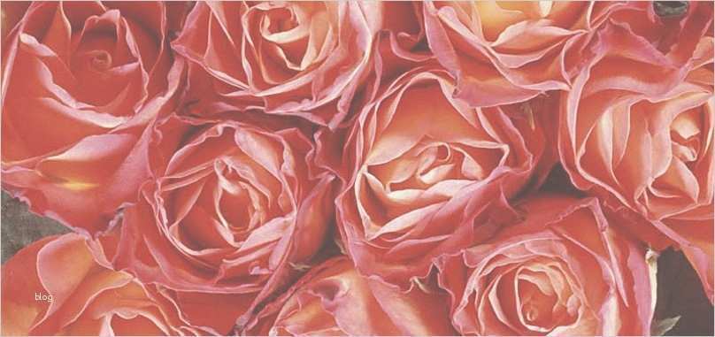 Hochzeitskarten Vorlagen Kostenlos Best Of Kostenlose Briefumschläge "valentinstag" Vorlagen Zum