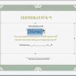 Hochzeitsrede Braut Vorlage Erstaunlich Gemütlich Braut Vorlagen Bilder Entry Level Resume