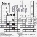 Hochzeitszeitung Vorlagen Zum Bearbeiten Erstaunlich Wunderbar Kreuzworträtsel Vorlage Wort Bilder Beispiel