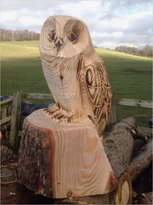 Holzschnitzen Vorlagen Genial Chainsaw Carved Owl Ebay