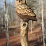 Holzschnitzen Vorlagen Großartig Chouette Sur Arbre Branche Tronçonneuse Bois Sculpture