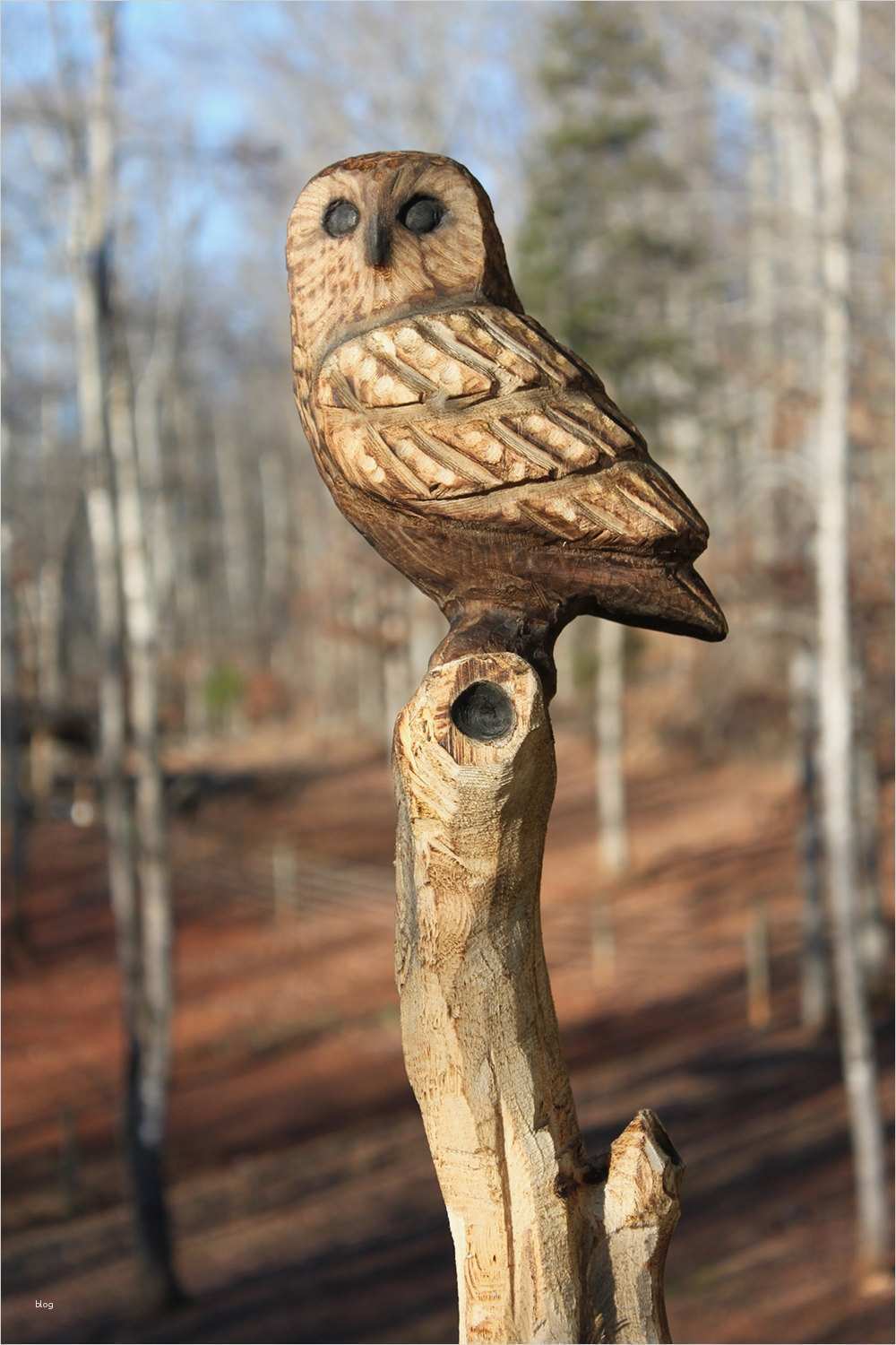 Holzschnitzen Vorlagen Großartig Chouette Sur Arbre Branche Tronçonneuse Bois Sculpture
