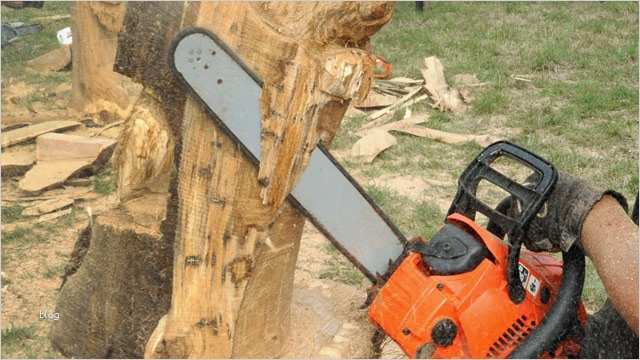 Holzschnitzen Vorlagen Schönste Kettensägenkunst Der Europäischen Spitzenklasse