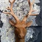 Holzschnitzen Vorlagen Wunderbar Selber Schnitzen Holzschnitzen Schnitzvorlage