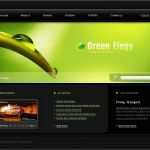 Homepage Design Vorlagen Erstaunlich Flash Vorlage Für Web Design