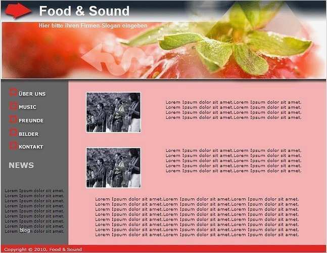 Homepage Vorlagen HTML Genial Professionelle Homepage Vorlagen
