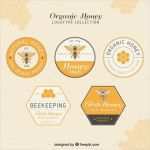 Honig Etiketten Vorlagen Kostenlos Best Of Elegantes Logotipos De Miel