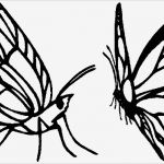 Html Seite Vorlage Beste Seite 3