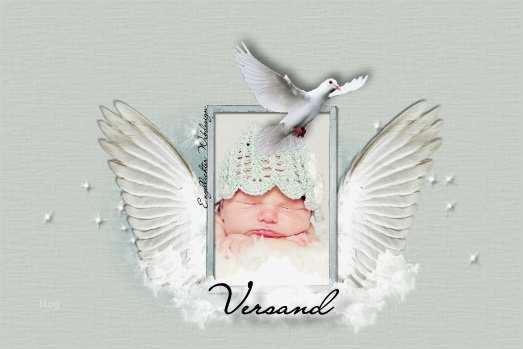 Html Vorlage Für Ebay Beste Vorlage