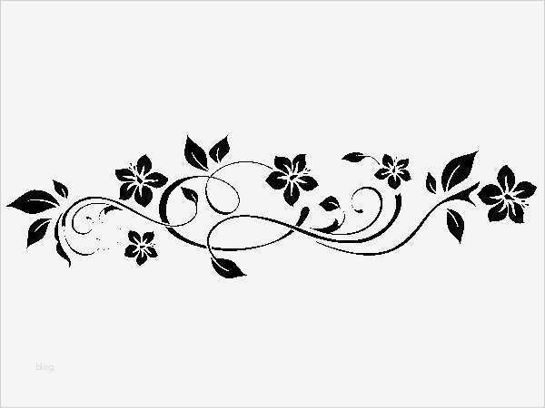 Html Vorlagen Kostenlos Schön HTML Vorlagen Kostenlos Schön ornamente Vorlagen Kostenlos