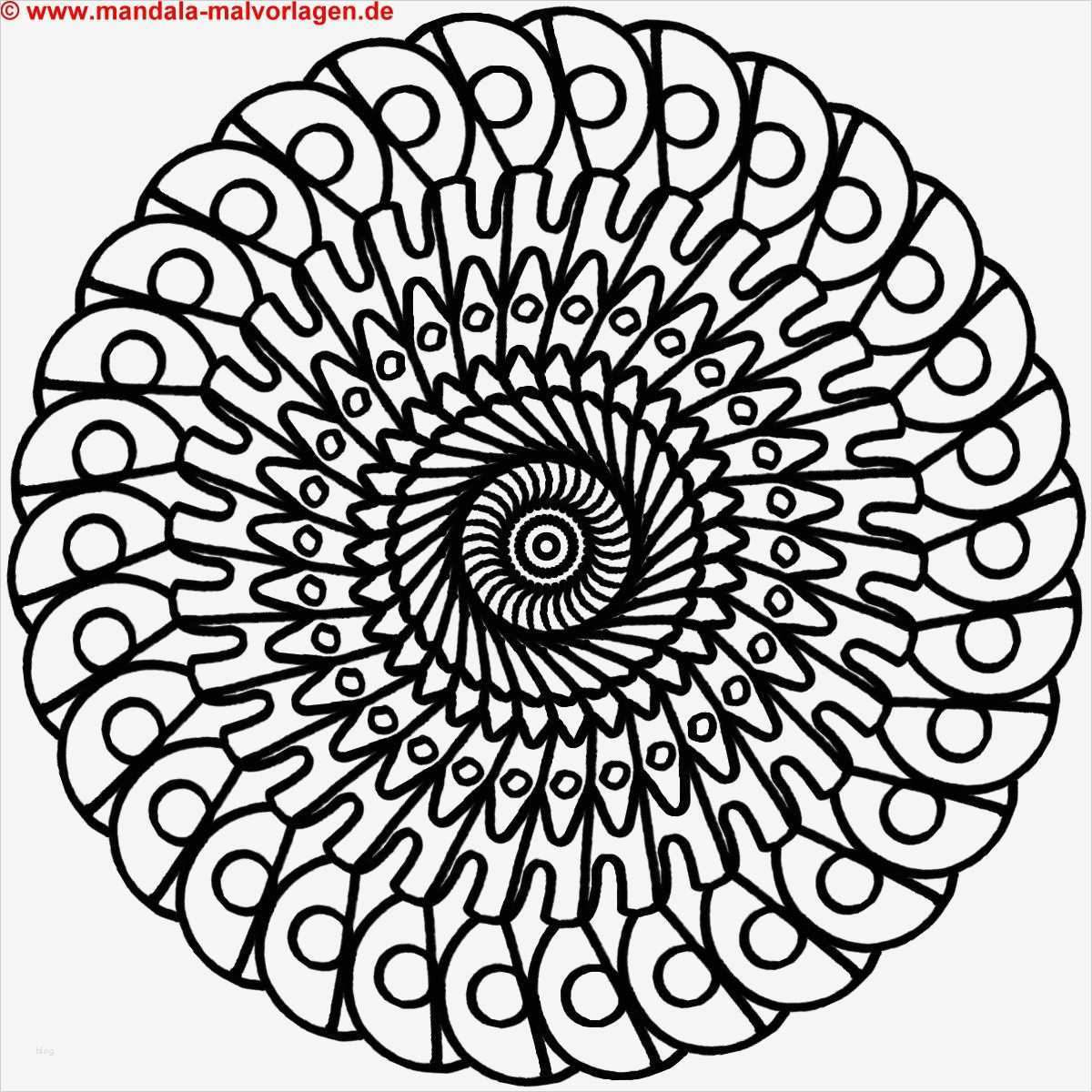 Html Vorlagen Kostenlos Süß Window Color Vorlagen