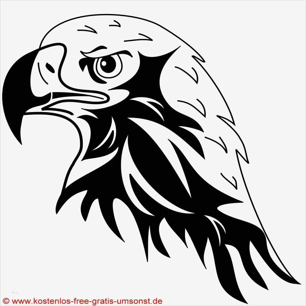 Html Vorlagen Kostenlos Wunderbar Sterne Tattoo Vorlagen Kostenlos Kostenlose Einfach