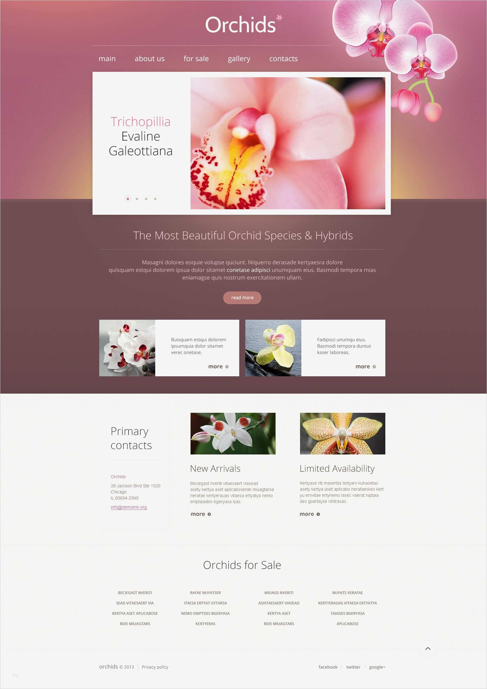 Html Website Vorlage Schön Website Vorlage Für Blumen