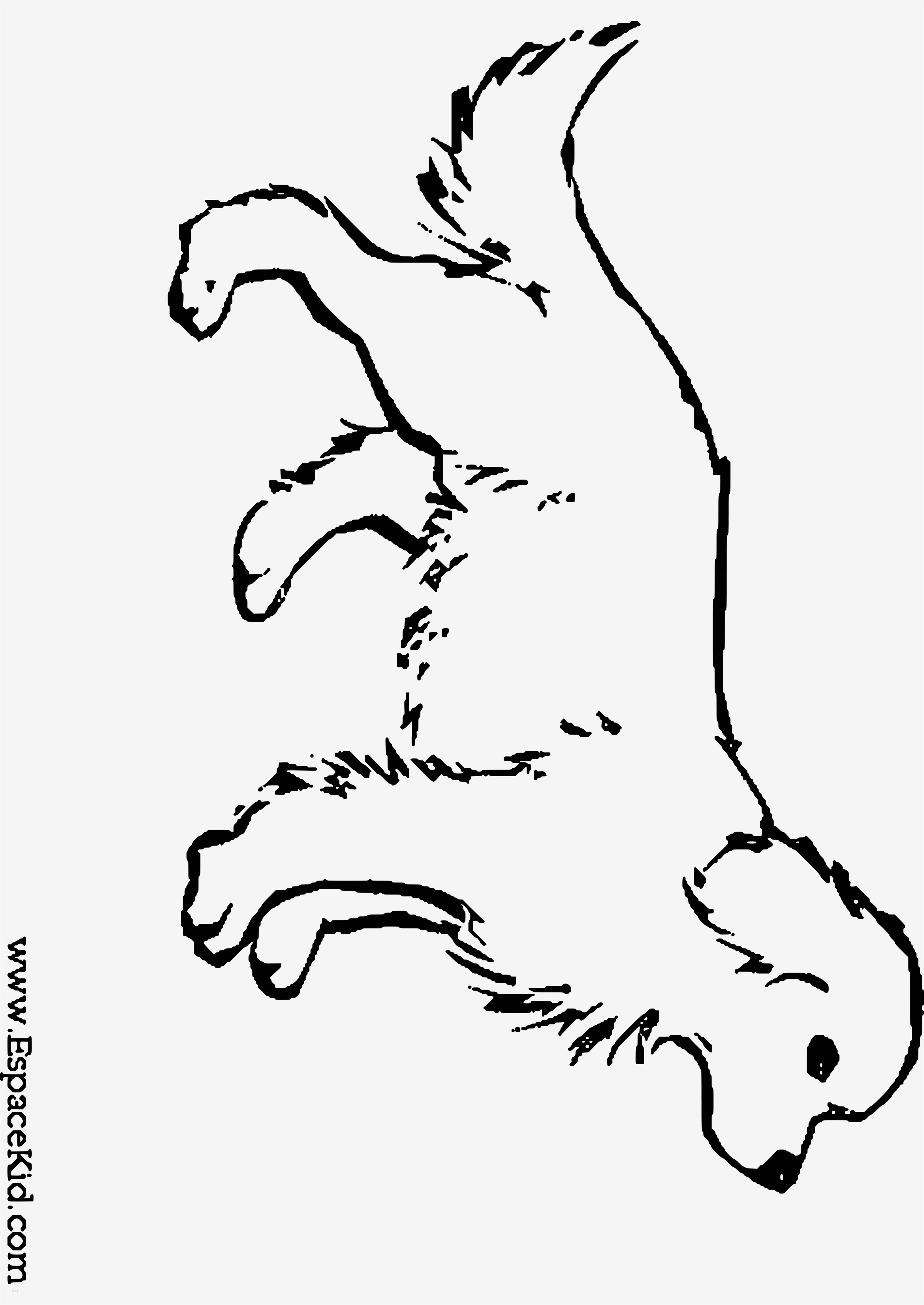 Hund Vorlage Angenehm Malvorlagen Hund Und Katze Zum Drucken