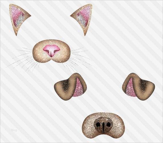 Hund Vorlage Bewundernswert Glitzernde Hund Und Katze Foto Overlays Clipart Hund Und