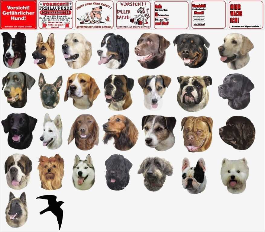 Hund Vorlage Schön Warnschild Oder Aufkleber Verschiedene Motive Hunderassen